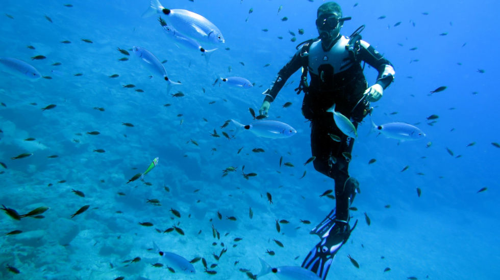 Minos Palace Hotel and suites - Scuba diving Minos Palace Hotel and suites - scuba diving