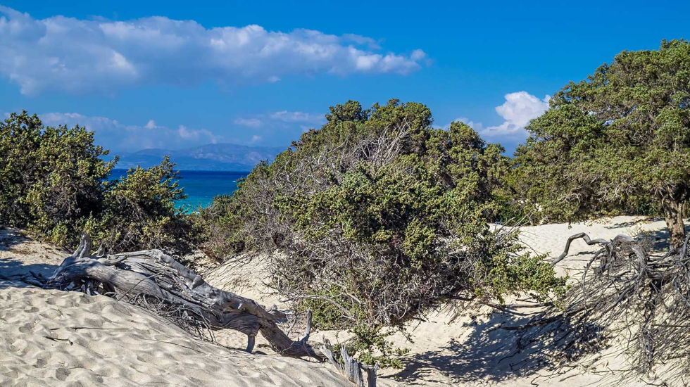 Daios Cove - Chrisi Island Daios Cove - Chrisi Island