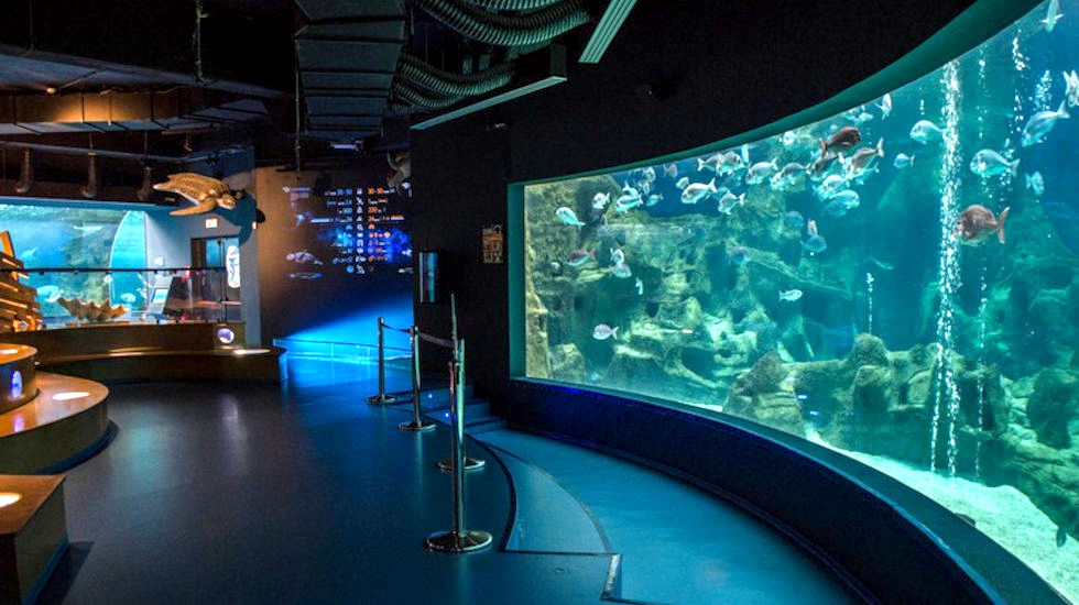 Village Heights Resort - Activities - Local - Cretaquarium Village Heights Resort - Activities - Local - Cretaquarium