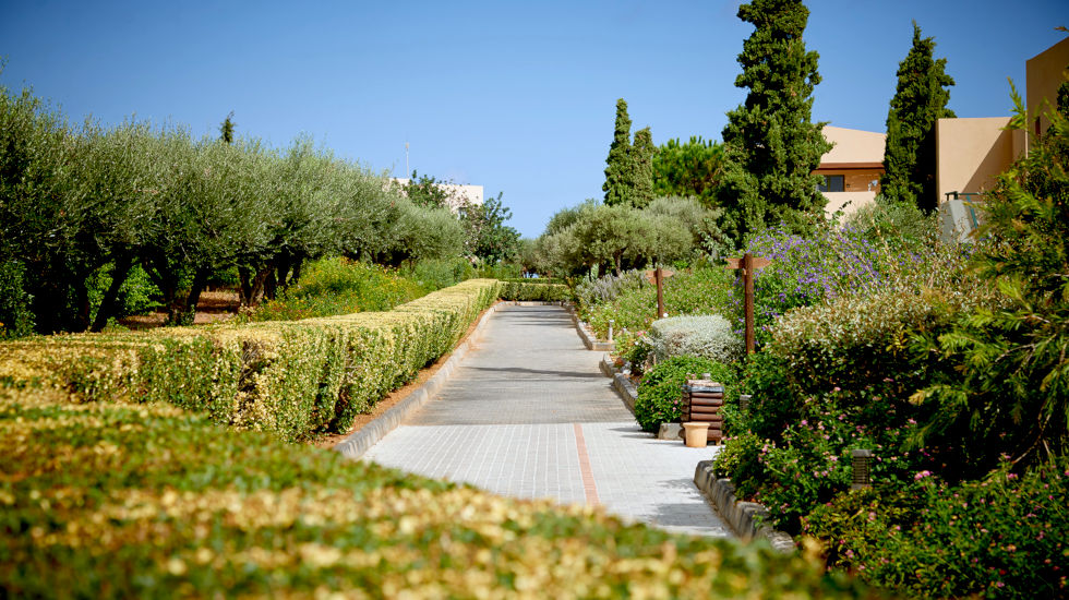 Village Heights Resort - Activities - Environmental - Gardens Village Heights Resort - Activities - Environmental - Gardens