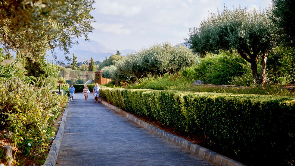 Village Heights Resort - Garden path Village Heights Resort - Garden path