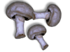 Captcha image 6346